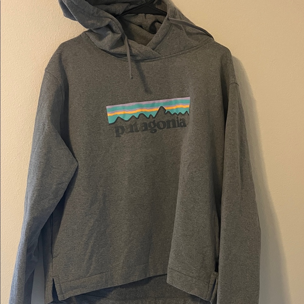 Patagonia Gray Hoodie with Pastel Stripe Logo